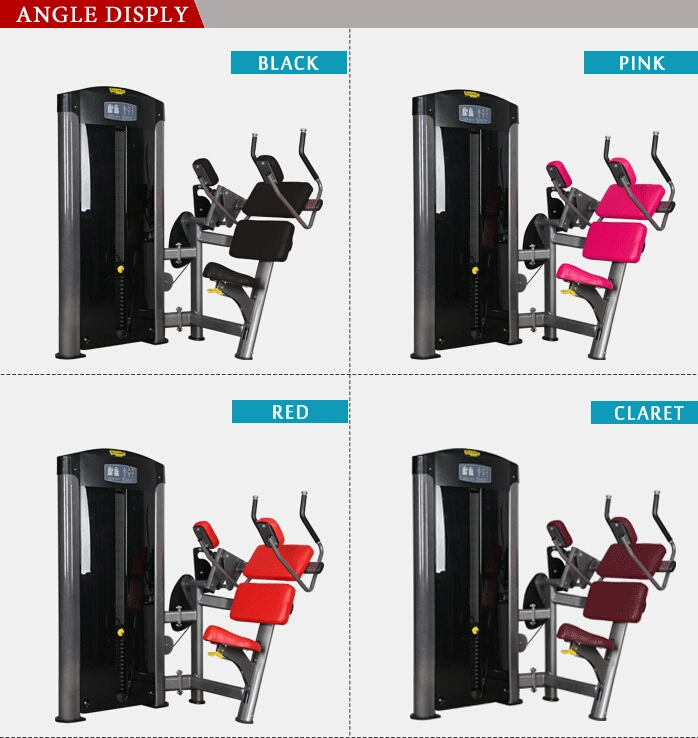 Luxurious Life Fitness Equipment/Fitness Supplier/Abdominal Exerciser for Gym