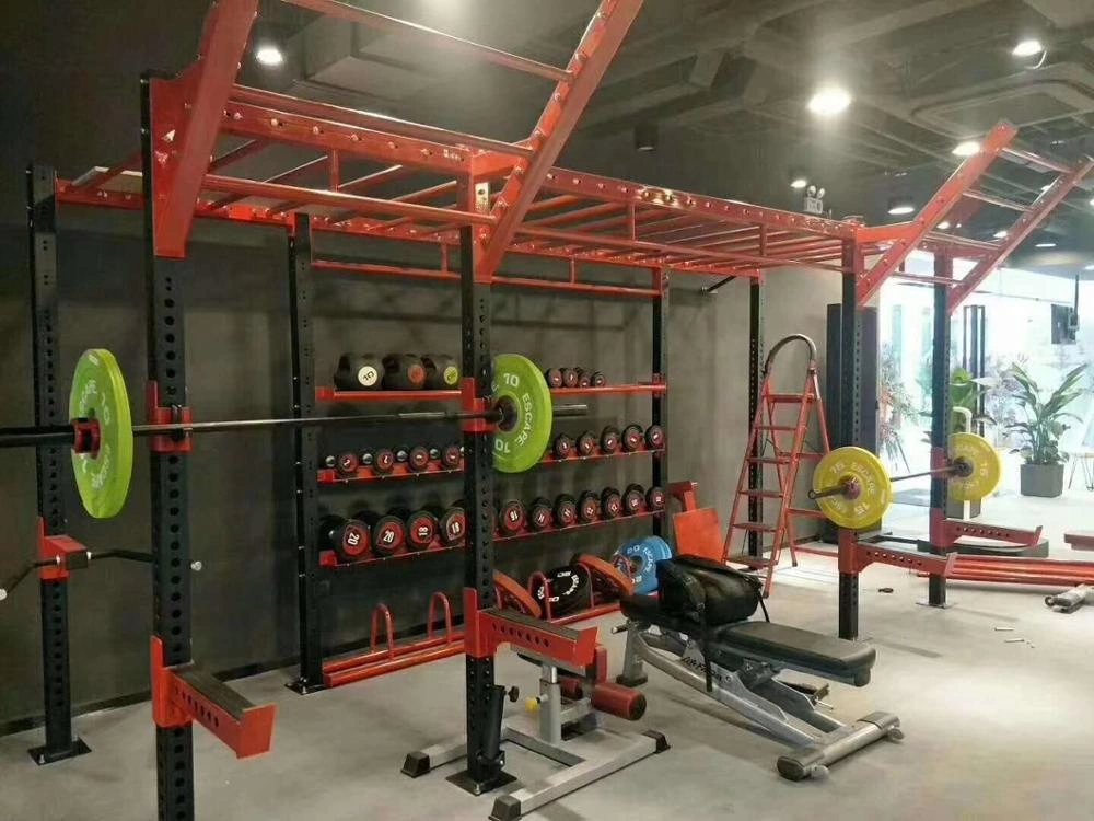 Customized Commercial Gym Equipment Multi Functional Cross Fit Rig