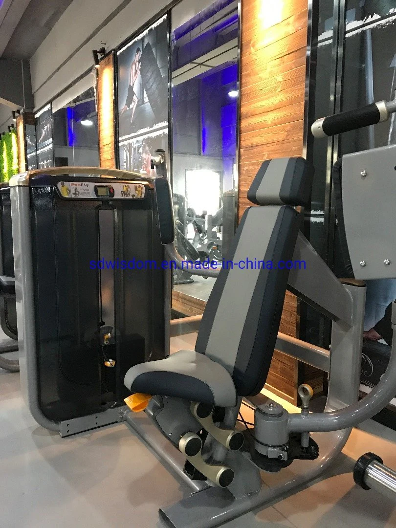 Commercial Hot Sale Style of Pectoral Fly with Competitive Price for Gym Club Use