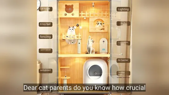 Hot Sale Luxury High