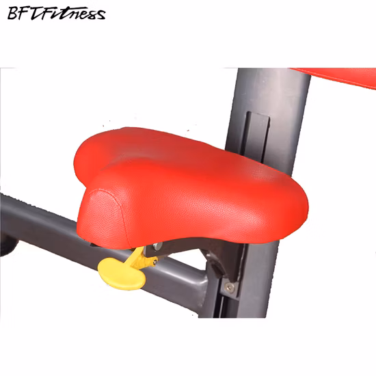 Luxurious Life Fitness Equipment/Fitness Supplier/Abdominal Exerciser for Gym
