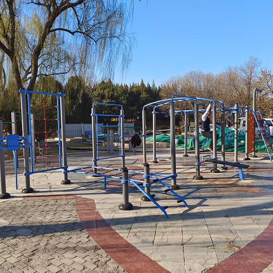 Gym Equipment Adult Outdoor Fitness Equipment for Parks Outdoor Exercise