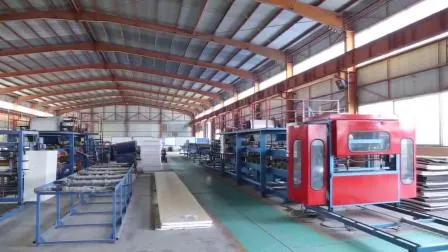 Long Span China Big Space Frame Galvanized Prefabricated Steel Structure Gym Build 